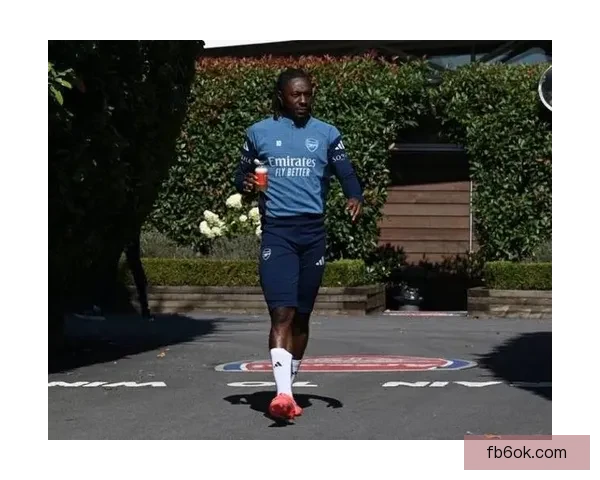 埃泽表态阿森纳是我心中俱乐部在此夺冠成就非凡对我来说意义深远